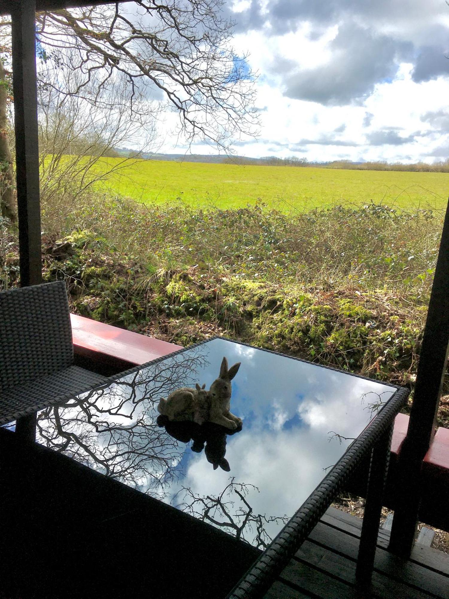 Caban Cwtch Villa Cenarth Dış mekan fotoğraf